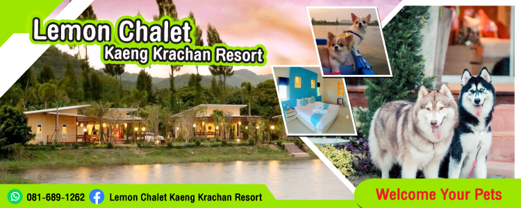 Lemon Chalet Kaeng Krachan Resort Sabai Thailand Magazine Thailands